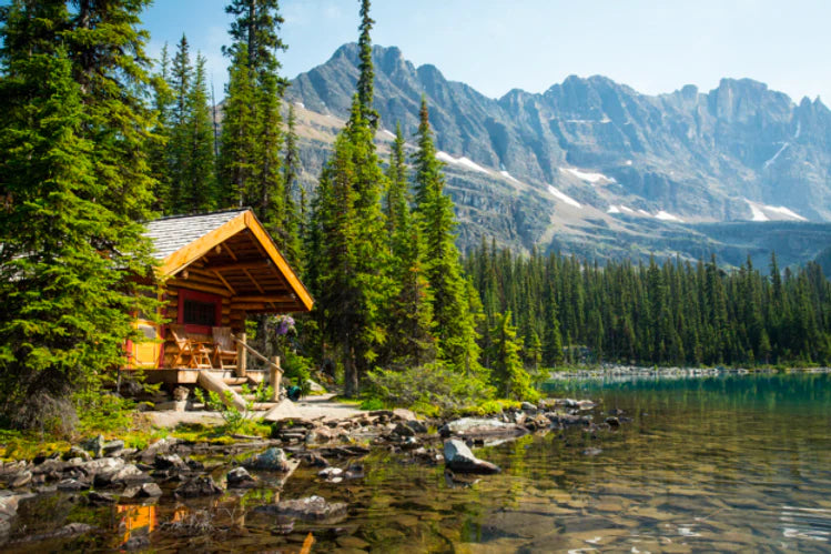 Exploring Off-Grid Living: Sustainable & Independent Choices ...