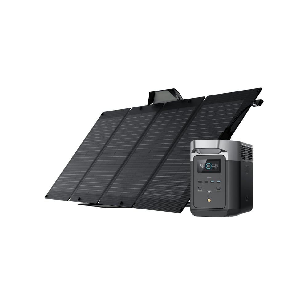 EcoFlow Delta 2 with dual 110W solar panels, ideal for outdoor survival and emergency power needs.