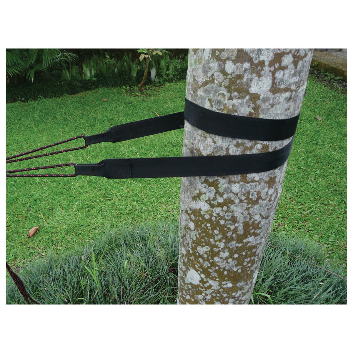 Hammock Bliss - Tree Straps for Hammock Setup — view 4