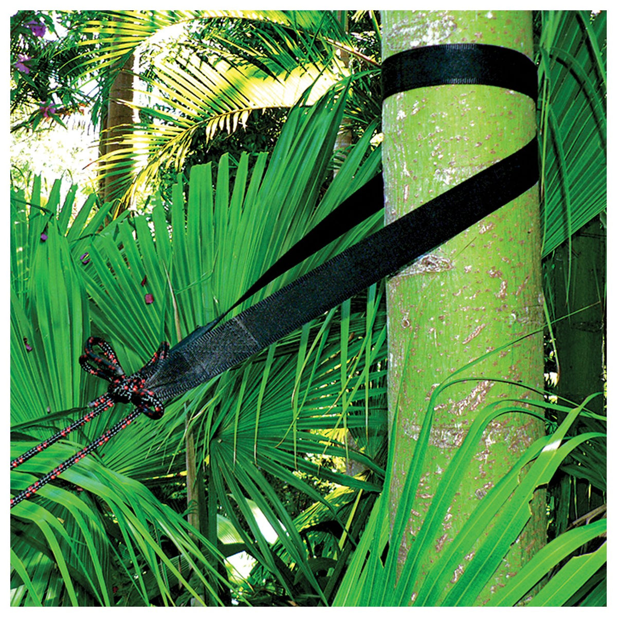 Hammock Bliss - Extra Long Tree Straps