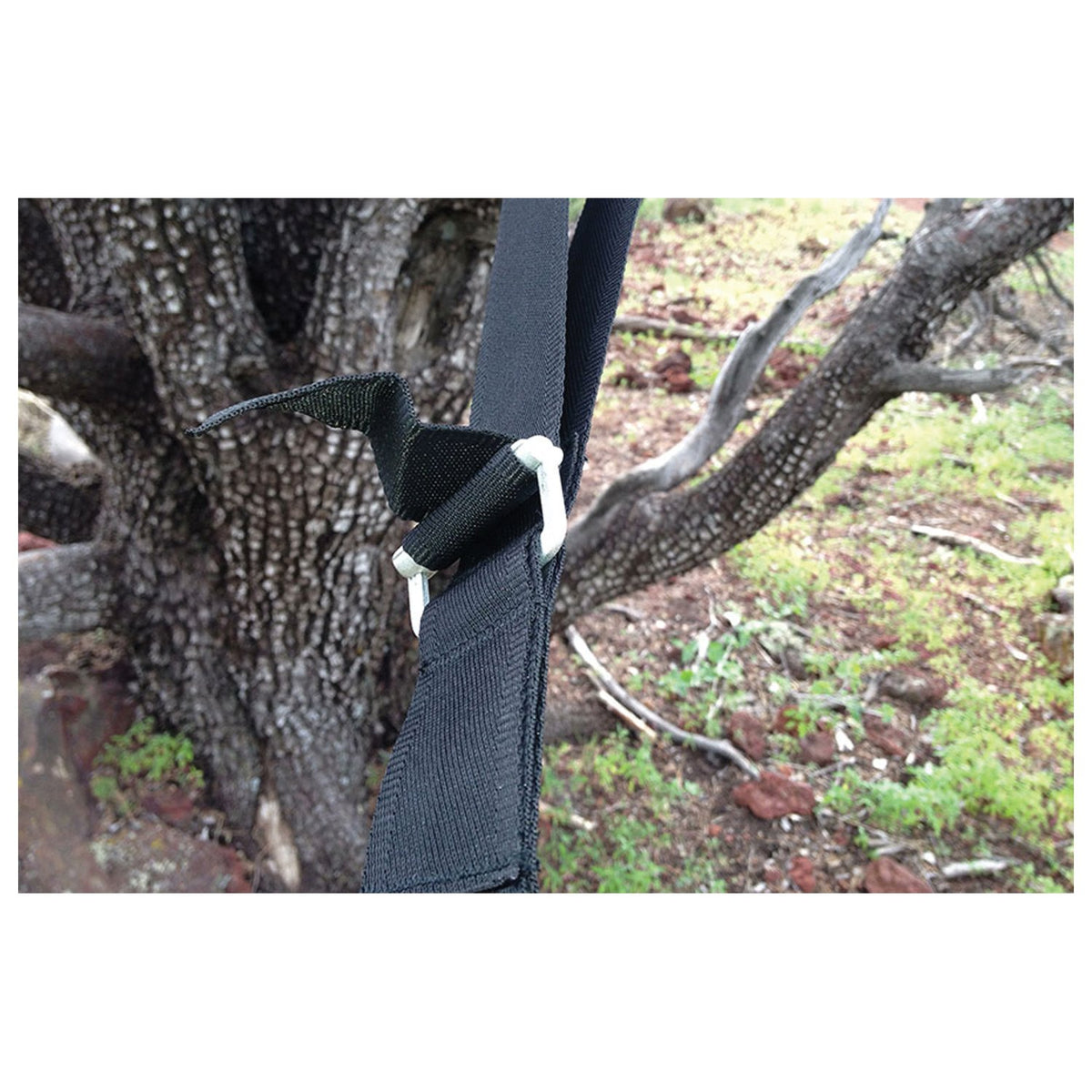 Hammock Bliss - Deluxe Cinching Tree Straps — view 5