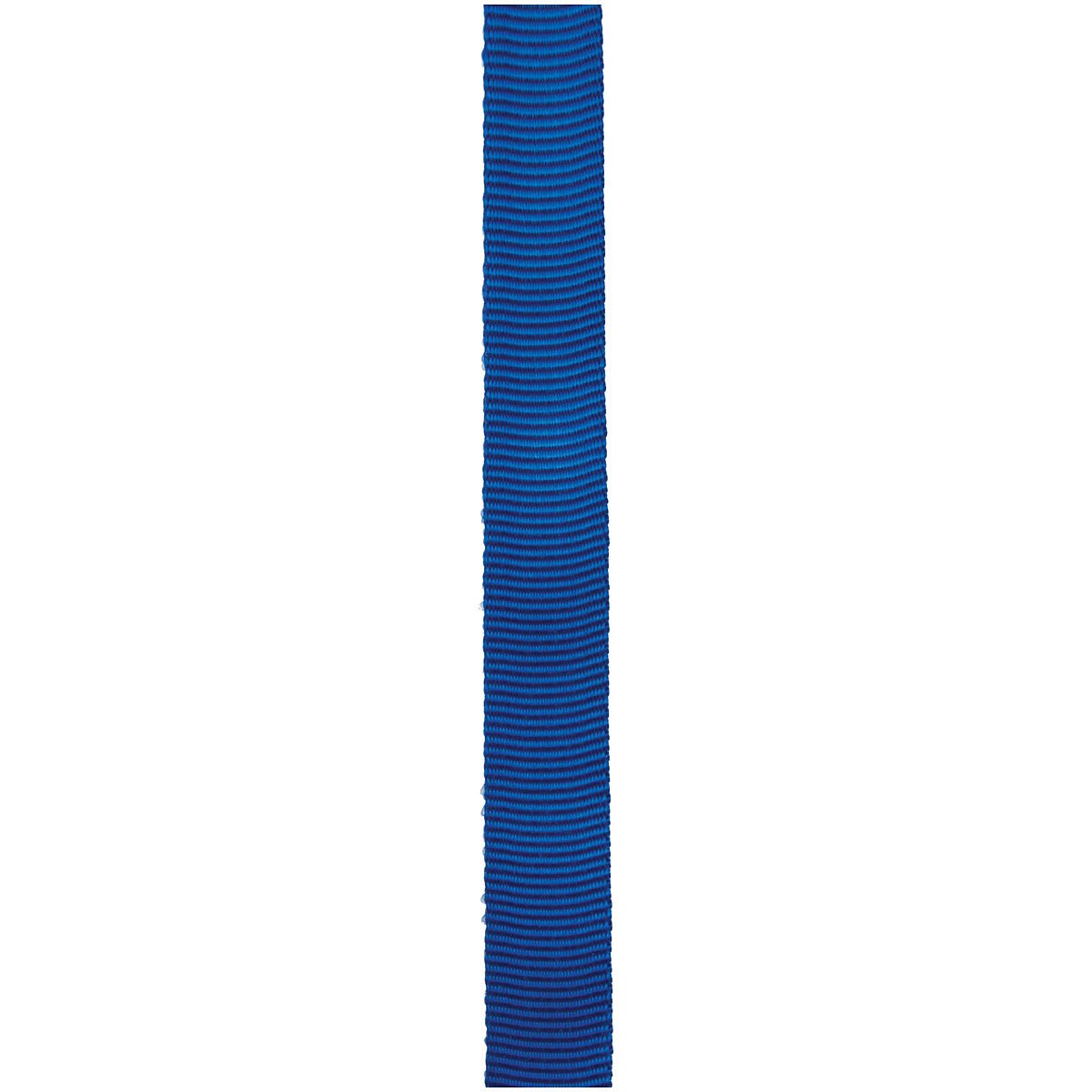 CYPHER - 1" x 300' Royal Tube Webbing