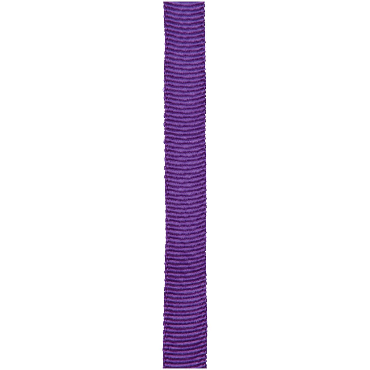 Cypher - 1" x 300' Purple Tube Webbing