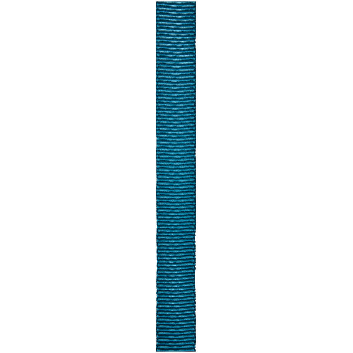 CYPHER - 1" x 300' Teal Tube Webbing