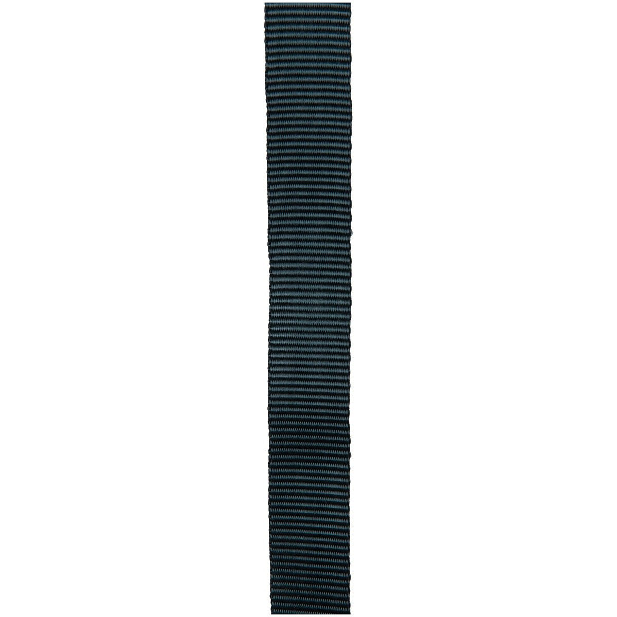 CYPHER - 1" x 300' Forest Tube Webbing