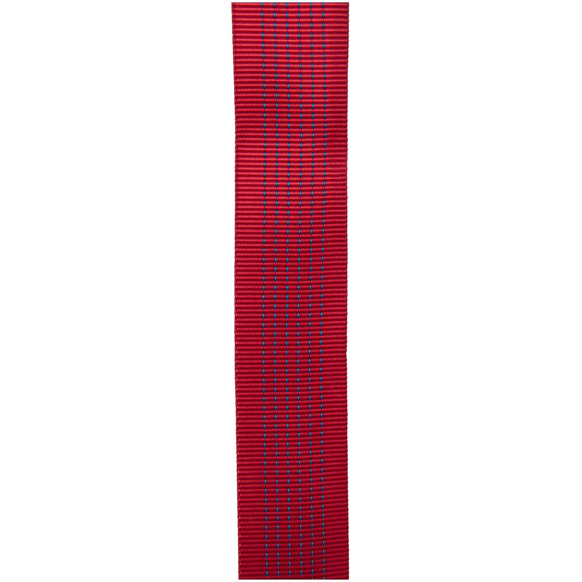 CYPHER - 2" x 150' Red Tube Webbing