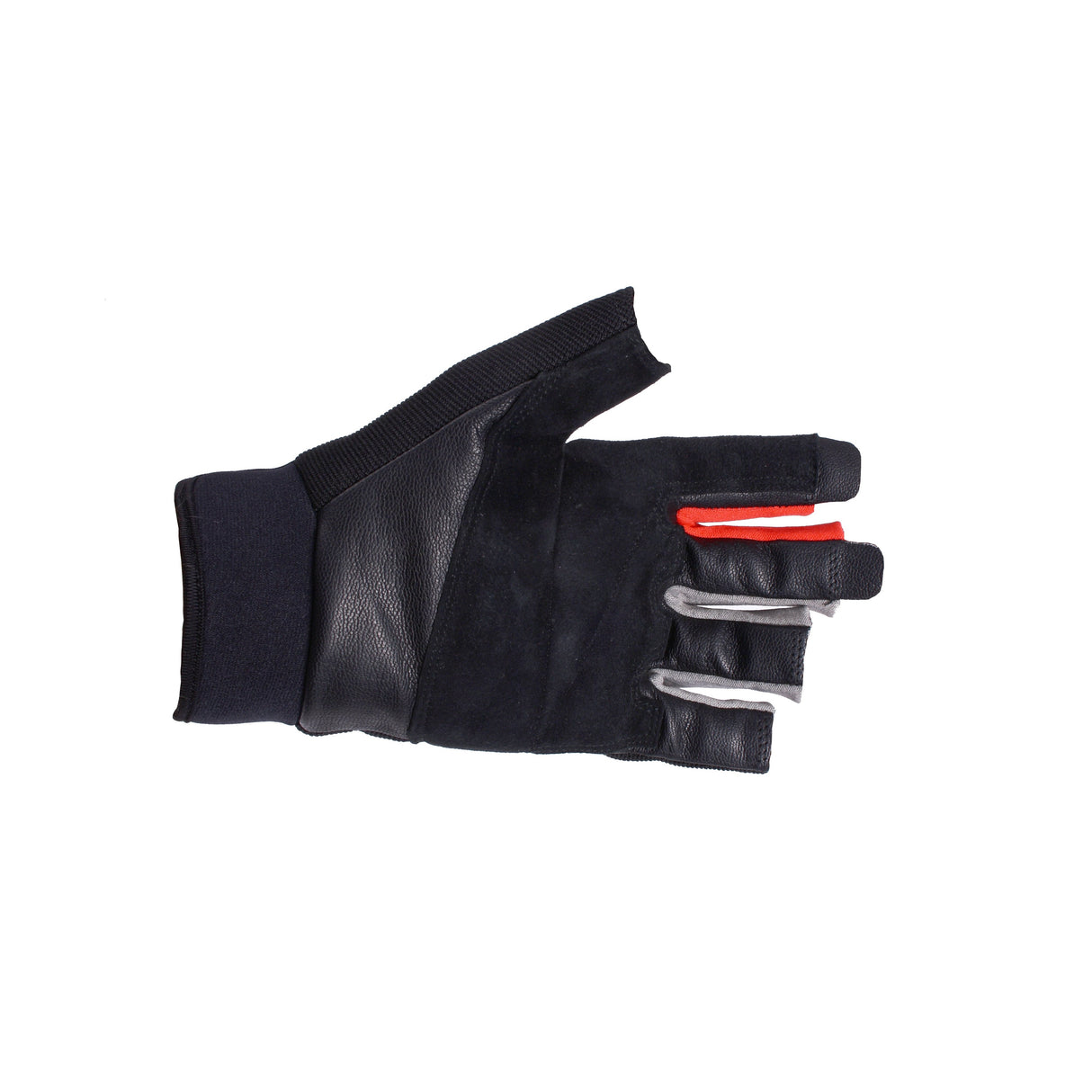 EDELWEISS - FIVE Fingerless Glove L