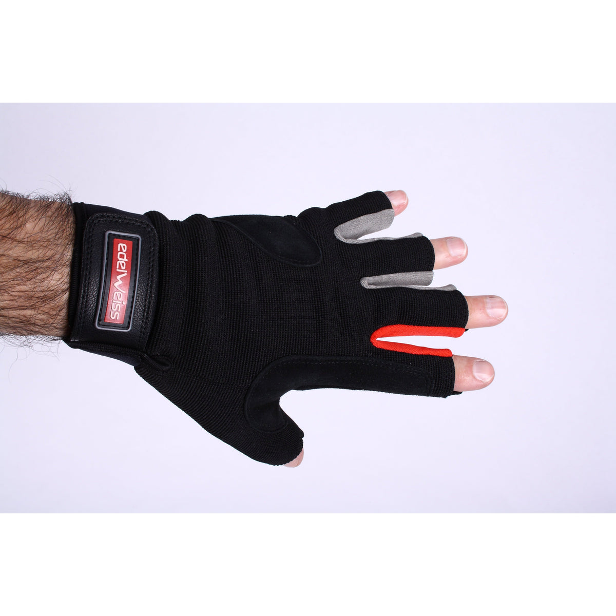 EDELWEISS - FIVE Fingerless Glove L