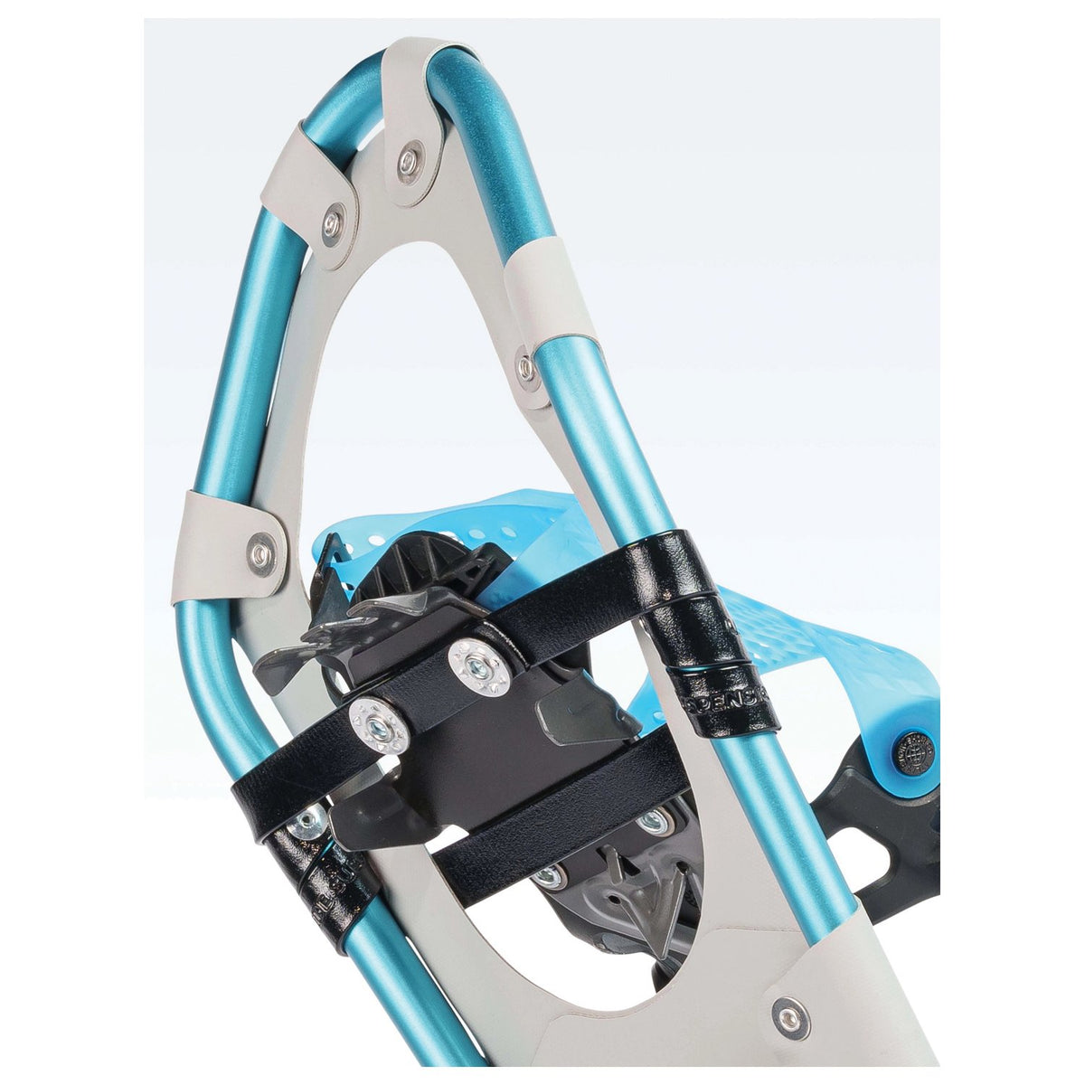 ATLAS - Access Women's 23 Snowshoe - Cyan — view 5