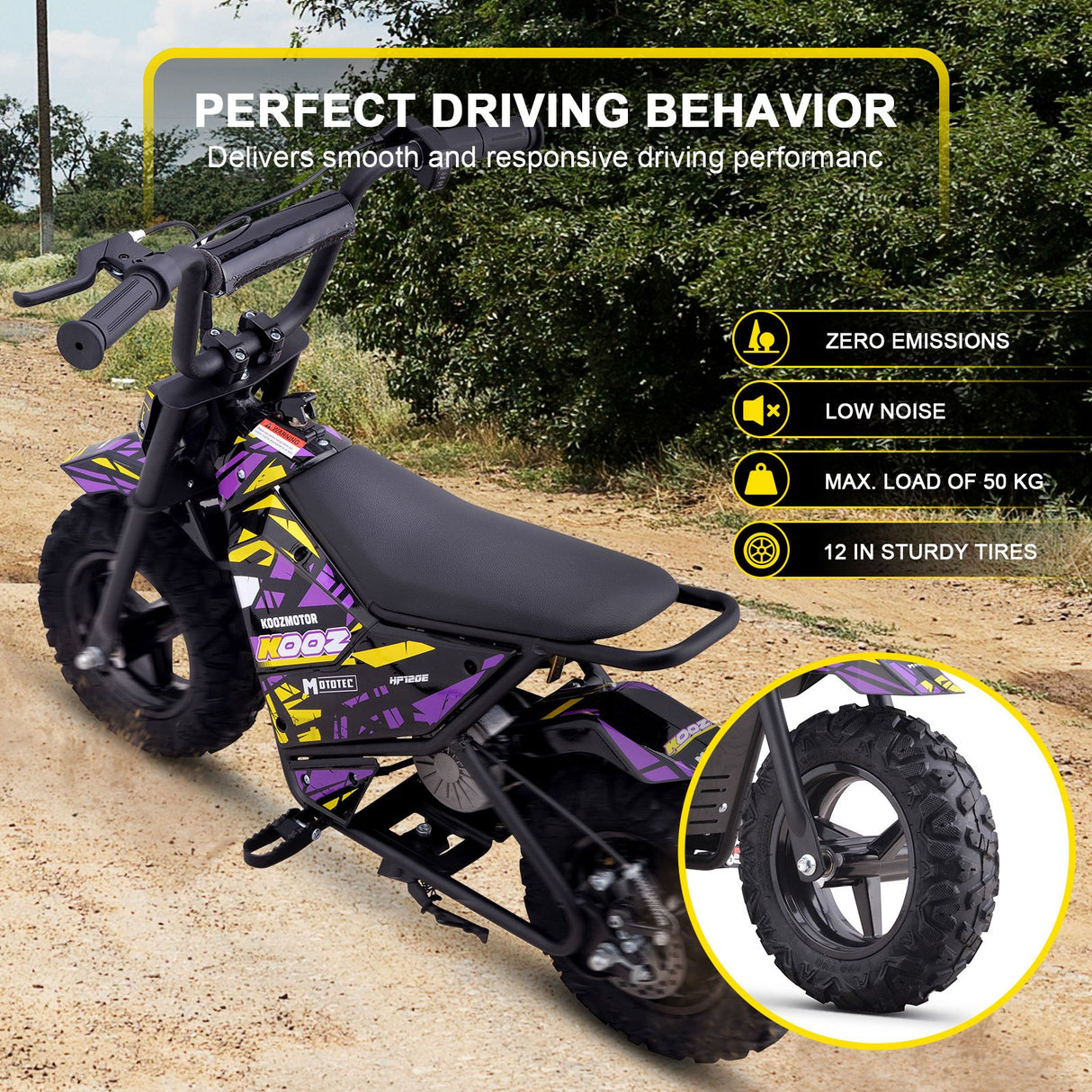 MotoTec 24v 250w (HP120E) Electric Powered Mini Bike - Purple