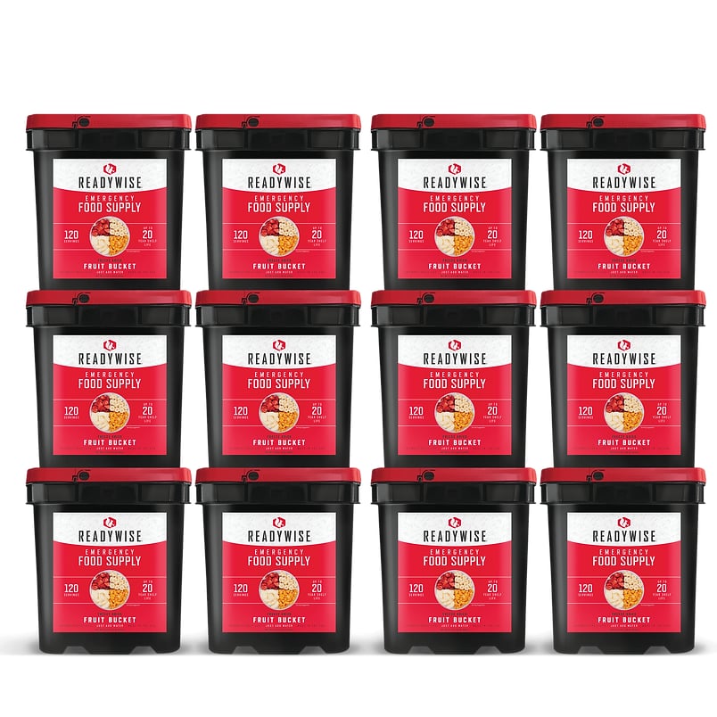 ReadyWise - 1440 Serving Freeze Dried Fruit Bundle
