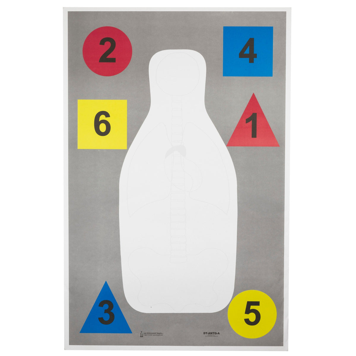 Action Target - Anatomy and Command Training Multi Purpose Target