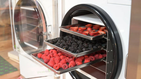 How to Freeze Dry Food at Home for Beginners