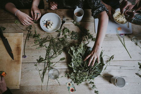 Off-Grid Healing: 10+ Natural Antibiotics When Doctors Aren’t an Option