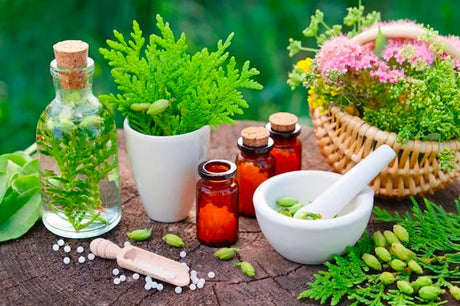 Essential Building Blocks: 10 Core Elements for Your Natural Medicine Kit