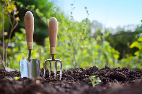 Simple DIY Soil pH Test: Check If Your Soil is Acidic or Alkaline Using Kitchen Ingredients