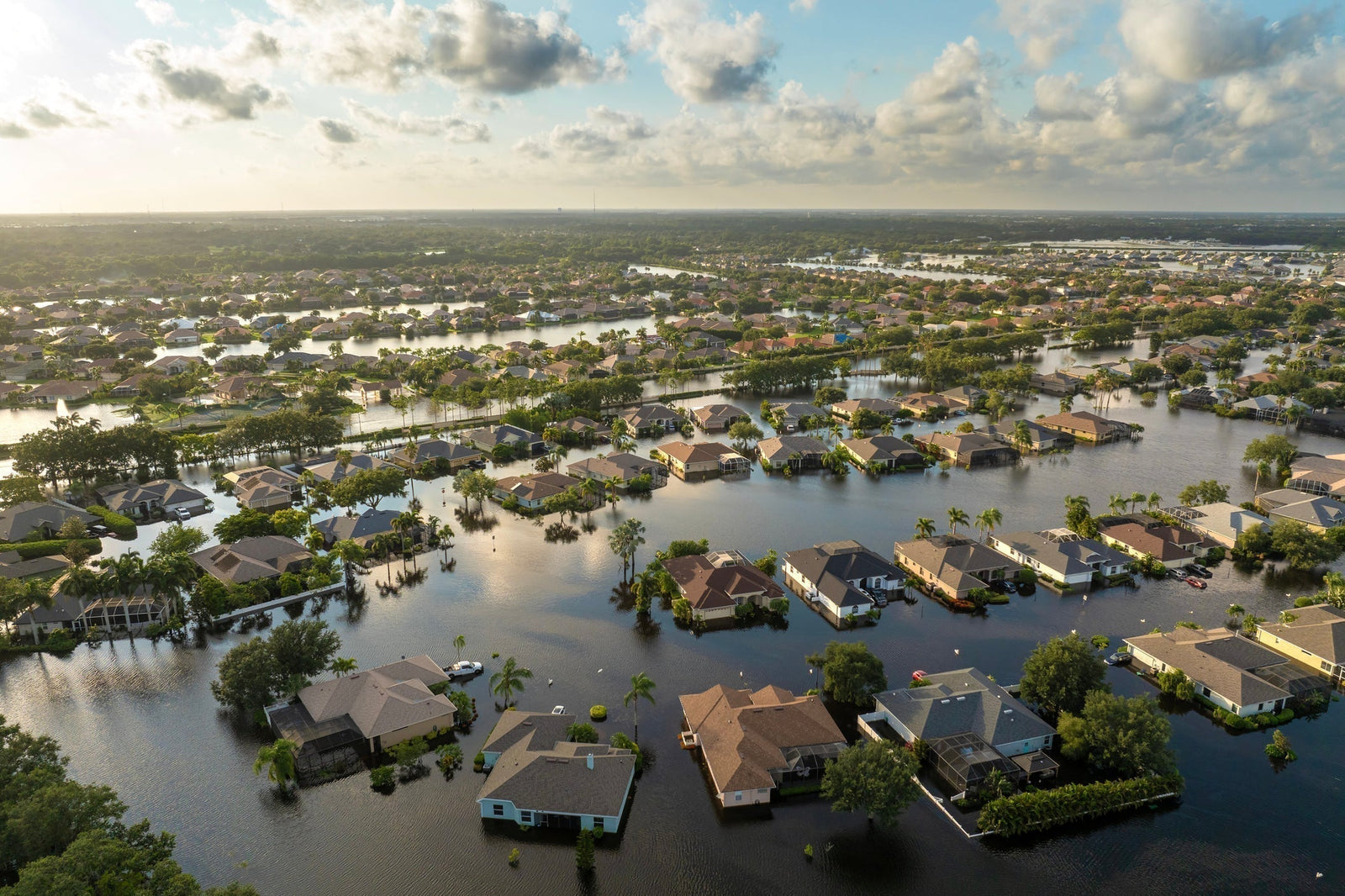 $1,000 and 1 Week to Prepare for Disaster — What Should You Do?