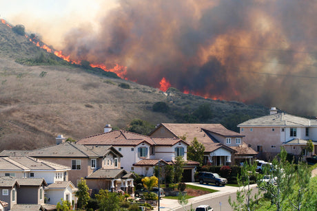 How to Build a Wildfire Go-Bag: Gear Every Family Needs