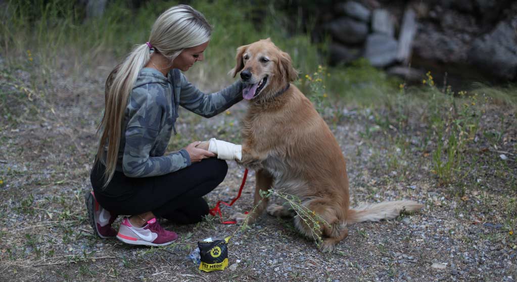 Pet Emergency Kit: Practical Preparation to Protect Your Furry Family