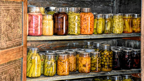 How to Keep Food Cold Without Electricity: Old-School Hacks for Modern Preppers