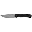 Kershaw - Pack Mule Fixed Blade Knife (N690, Black G10)