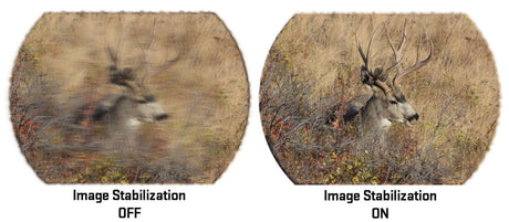 Sig Sauer – OSCAR6 HDX PRO Image-Stabilized Spotting Scope (16–32x60)