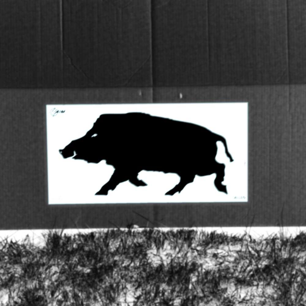 Allen Company - NEW EZ Aim Thermal ID Boar Paper Target, 24" x 12," Gray