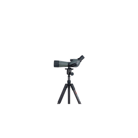 BOG - ARCA Swiss Optics Plate - Black — view 3
