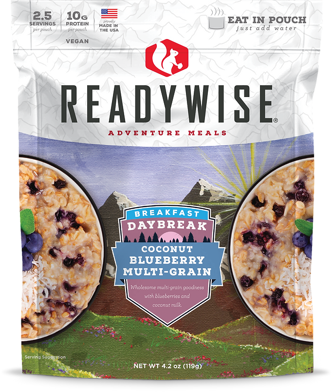 ReadyWise - 6 CT Case Daybreak Coconut Blueberry Multi-grain