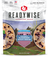 ReadyWise - 6 CT Case Daybreak Coconut Blueberry Multi-grain