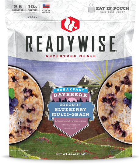 ReadyWise - 6 CT Case Daybreak Coconut Blueberry Multi-grain