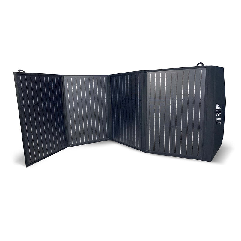 ReadyWise - 100W Solar Panel