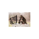Caldwell - Brass Trap for Pistol/Rifle Shooting