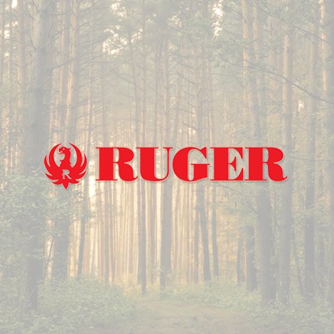 DNZ - Game Reaper Ruger 10/22 Low Mount - 1 Inch, Black