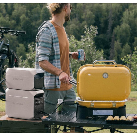 EcoFlow – DELTA 3 Smart Extra Battery (1024Wh LFP Expansion)