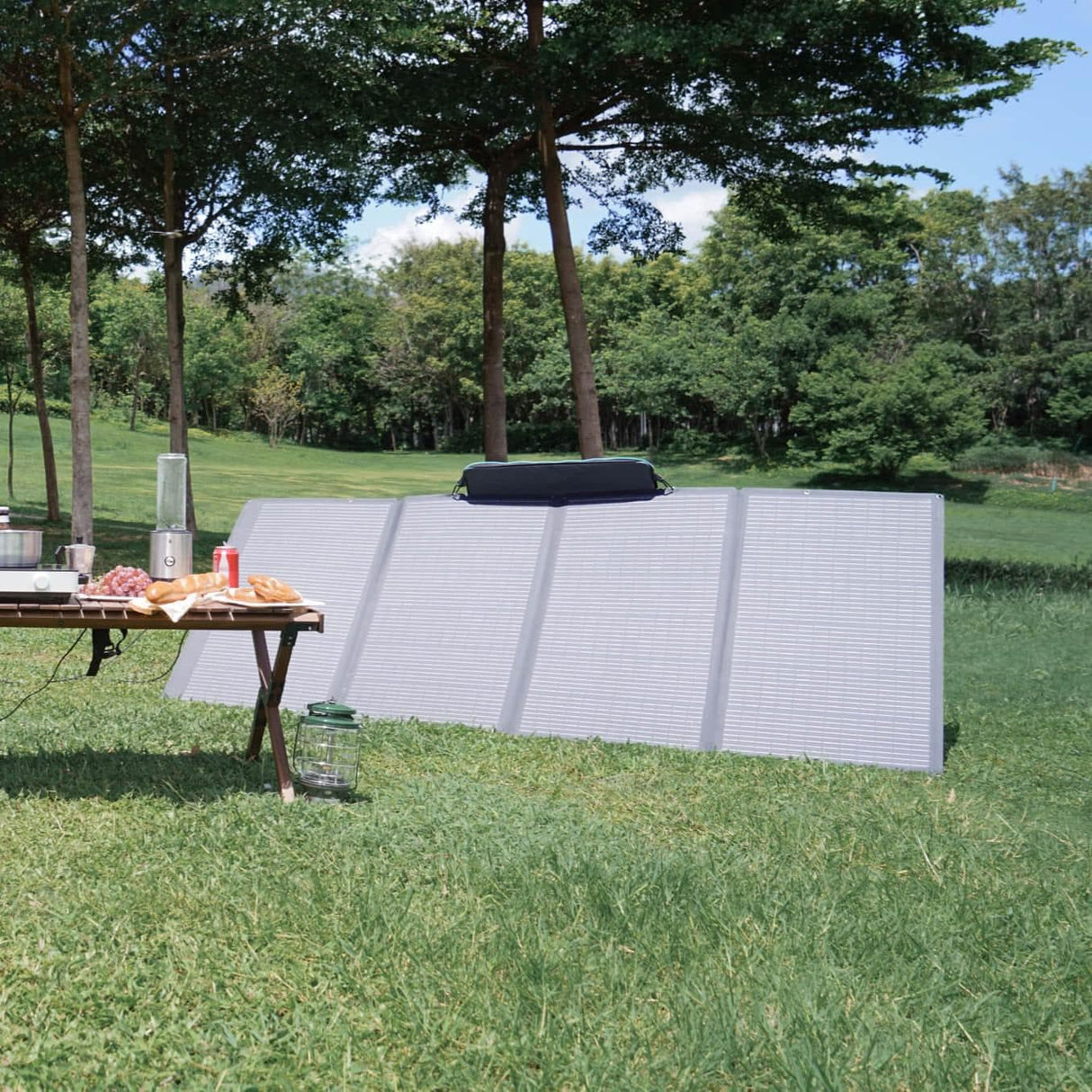 EcoFlow – 400W Portable Solar Panel with XT60 Cable