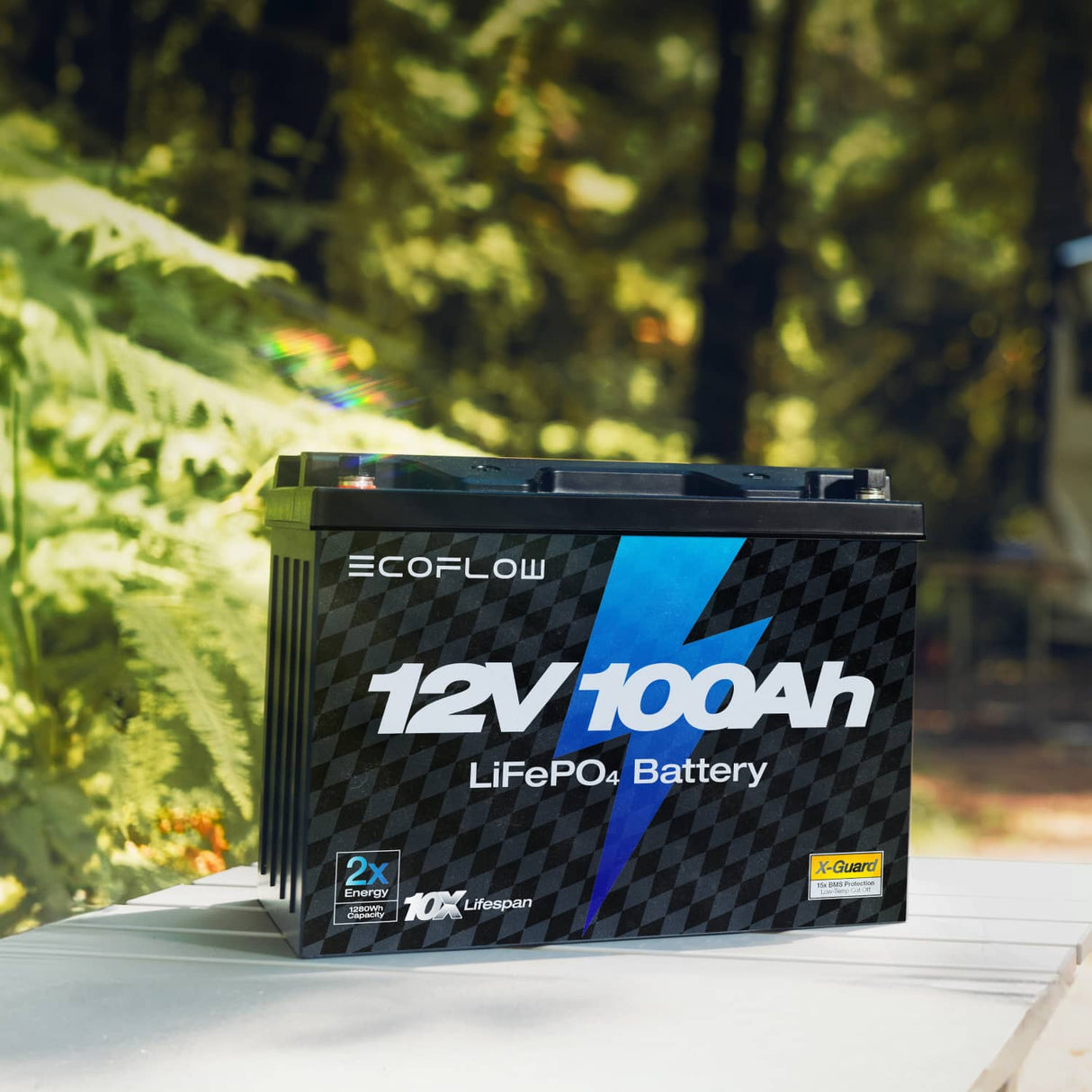 EcoFlow - 12V 100Ah LiFePO4 Deep Cycle Battery (1280Wh, IP65)