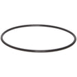 Guzzle H2O - O-Ring for Filter Housings