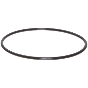 Guzzle H2O - O-Ring for Filter Housings