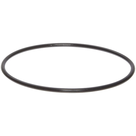 Guzzle H2O - O-Ring for Filter Housings