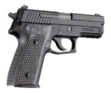 Hogue - Piranha Grip G10 for SIG Sauer P228/P229 - G-Mascus Black/Gray
