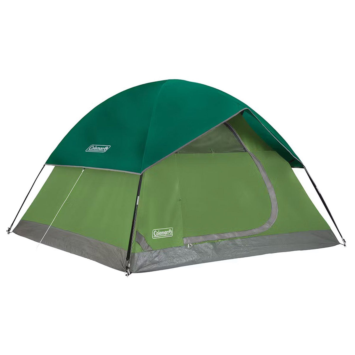 Coleman - Sundome 4-Person Tent in Spruce Green