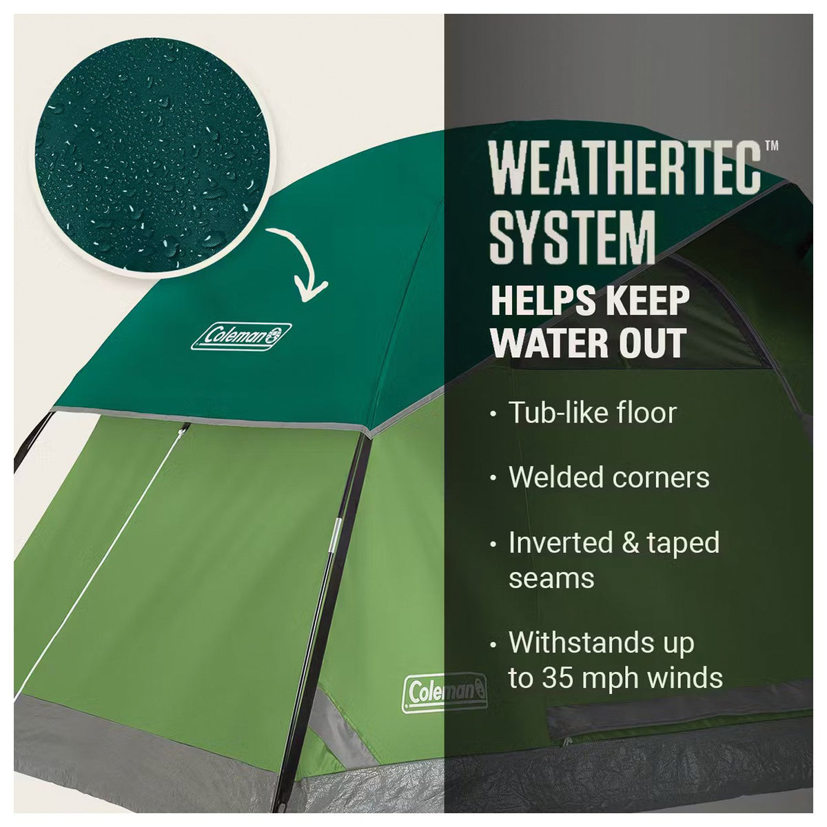 Coleman - Sundome 4-Person Tent in Spruce Green