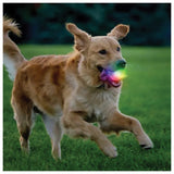 NITE IZE - GlowStreak Wild Ball with Color-Changing LED