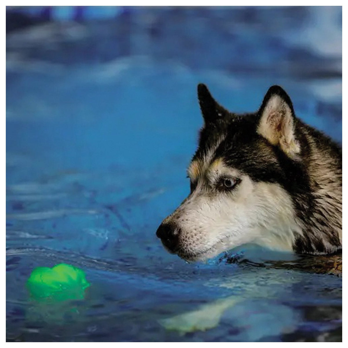NITE IZE - GlowStreak Wild Ball with Color-Changing LED