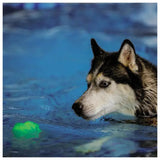 NITE IZE - GlowStreak Wild Ball with Color-Changing LED