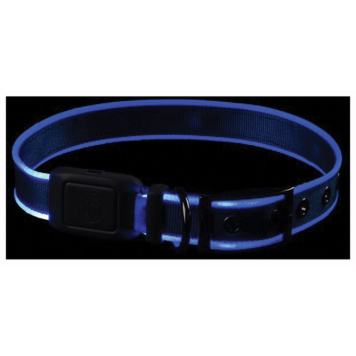 NITE IZE - NiteDog RC LED Collar Large Blue