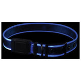 NITE IZE - NiteDog RC LED Collar Large Blue