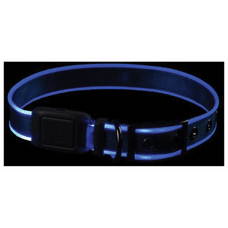 NITE IZE - NiteDog RC LED Collar Large Blue