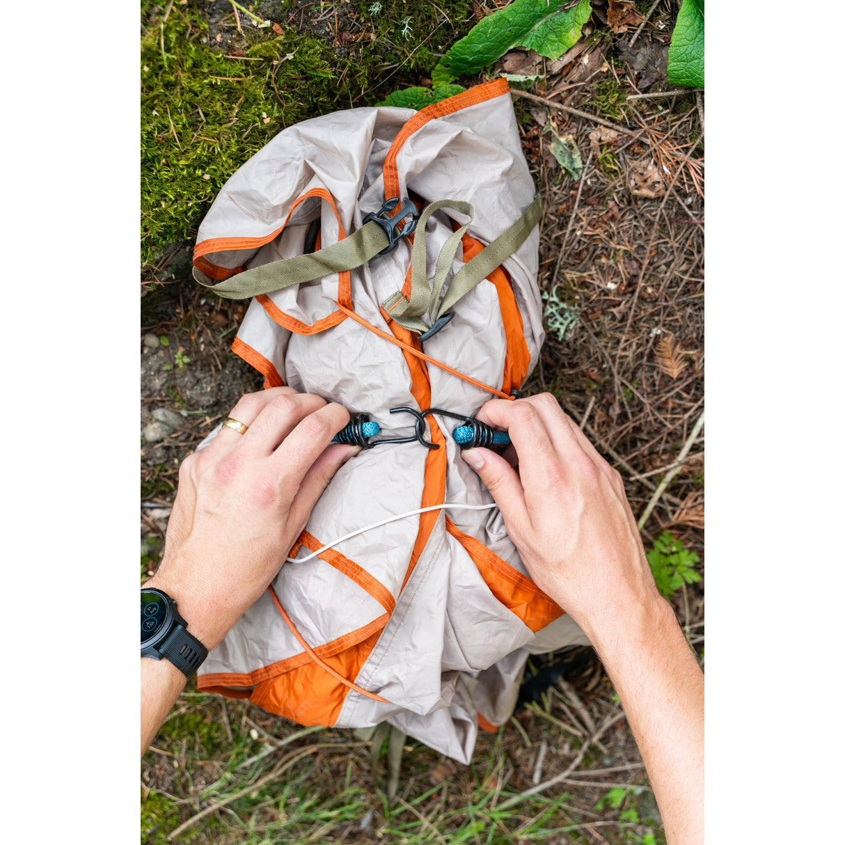 Coghlan's - Assorted Bungee Cords 6 Pack